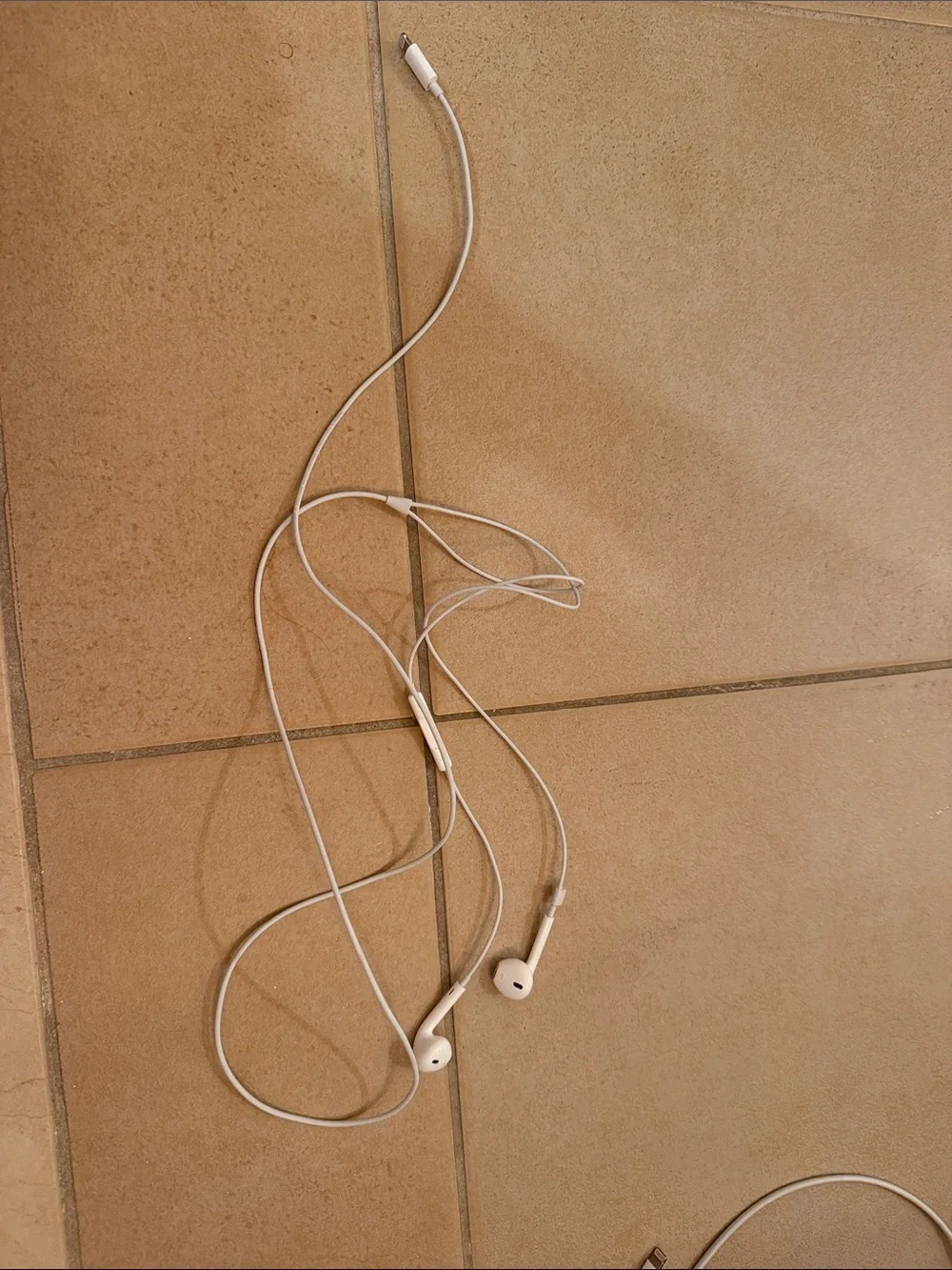 Apple White Lightning Cables and Wired Earbuds